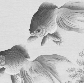 Fototapet rotund Two Goldfish, 190cm diametru, WallArt