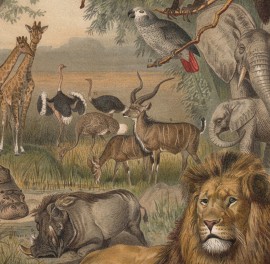 Fototapet rotund Animals of Africa, 190cm diametru, WallArt