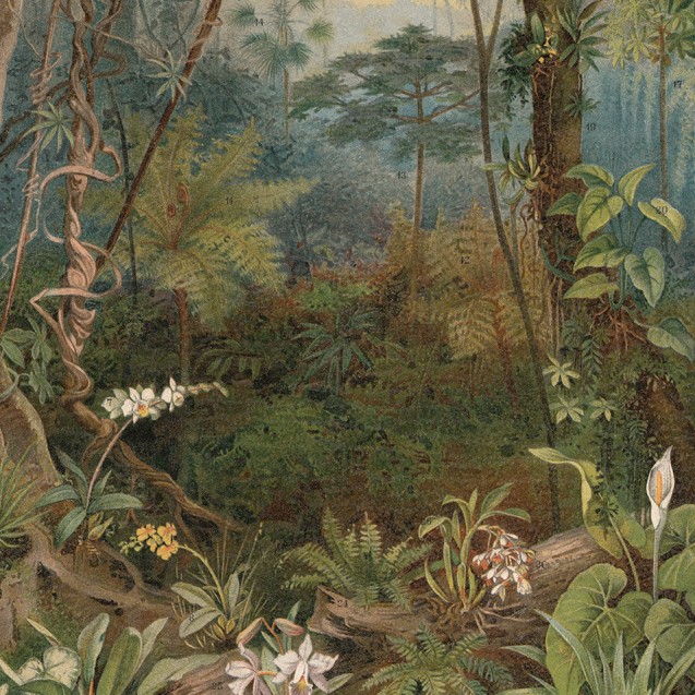 Fototapet rotund In the Jungle, 142.5cm diametru, WallArt