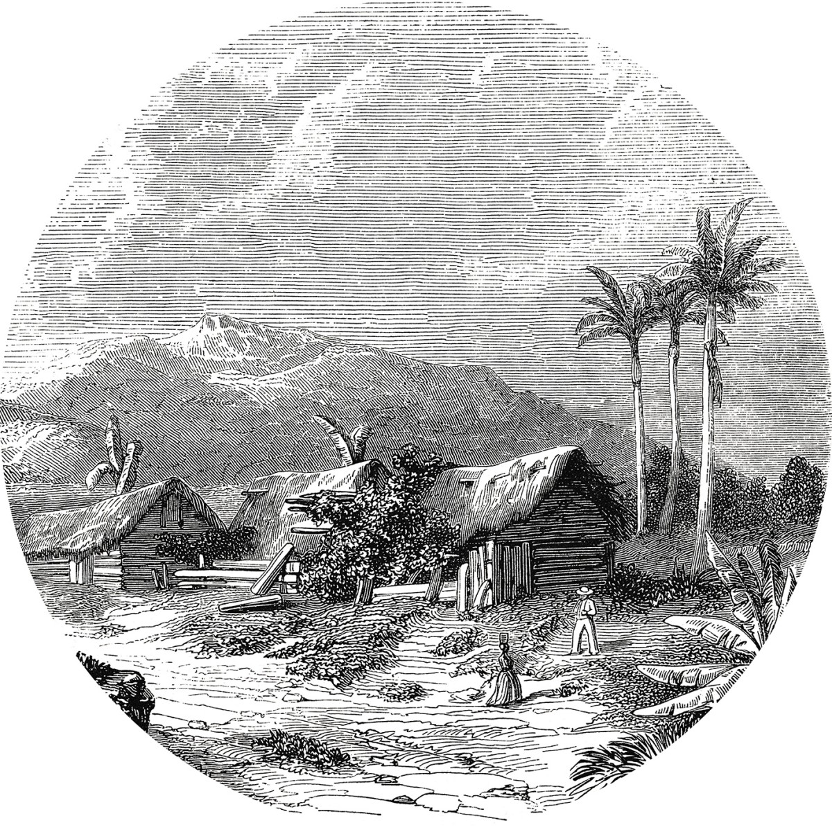 Fototapet rotund Landscape of Guadeloupe, 190cm diametru, WallArt, Fototapet circular, Fototapet 