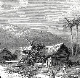 Fototapet rotund Landscape of Guadeloupe, 190cm diametru, WallArt