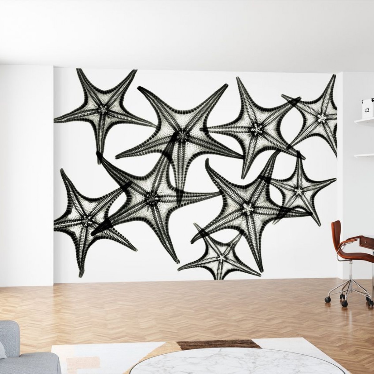 Fototapet Starfish, personalizat, Photowall