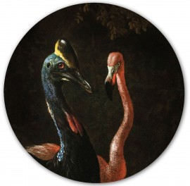 Sticker magnetic, Cassowary and friend, 60cm
