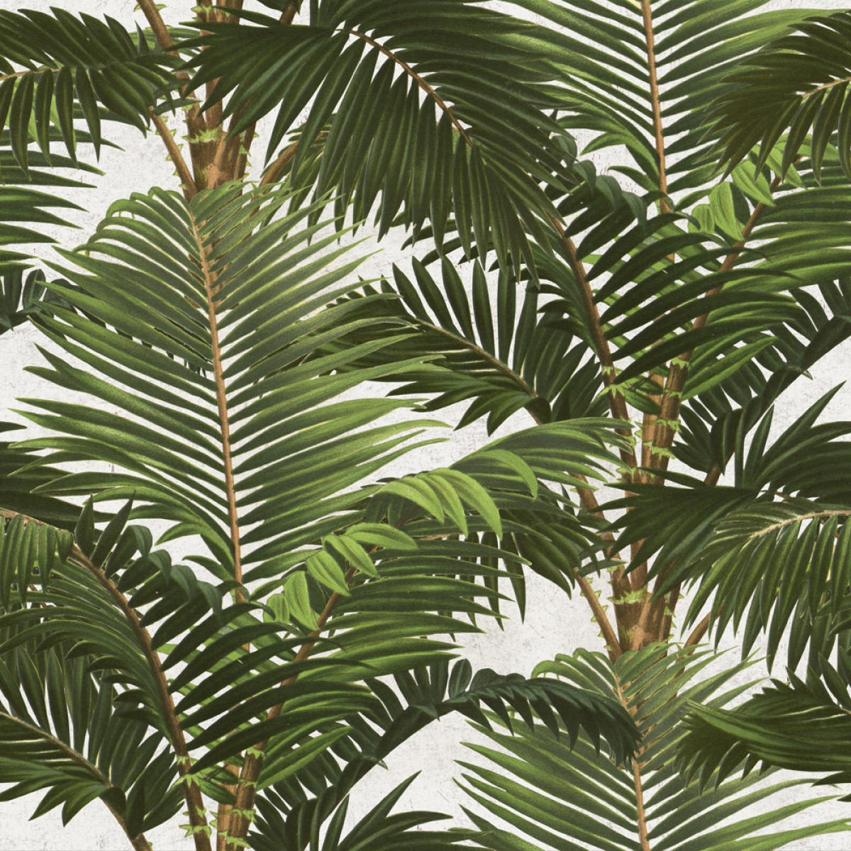 Tapet designer Nature Jardin Tropical, MINDTHEGAP, Tapet living, Tapet