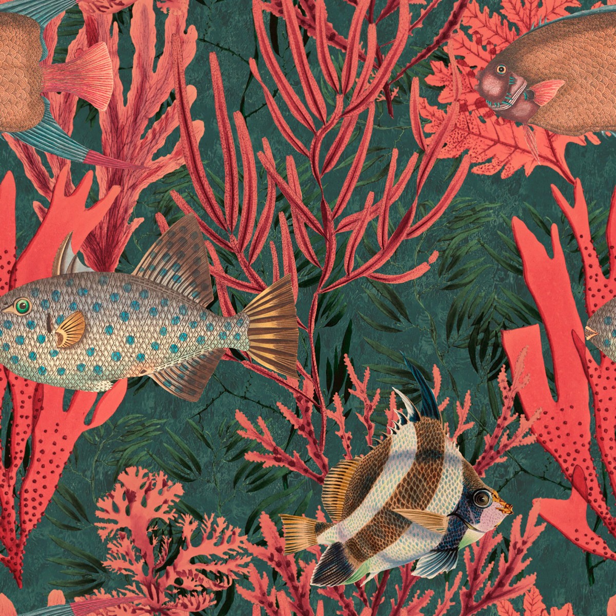 Tapet designer THE UNDERSEA, MINDTHEGAP