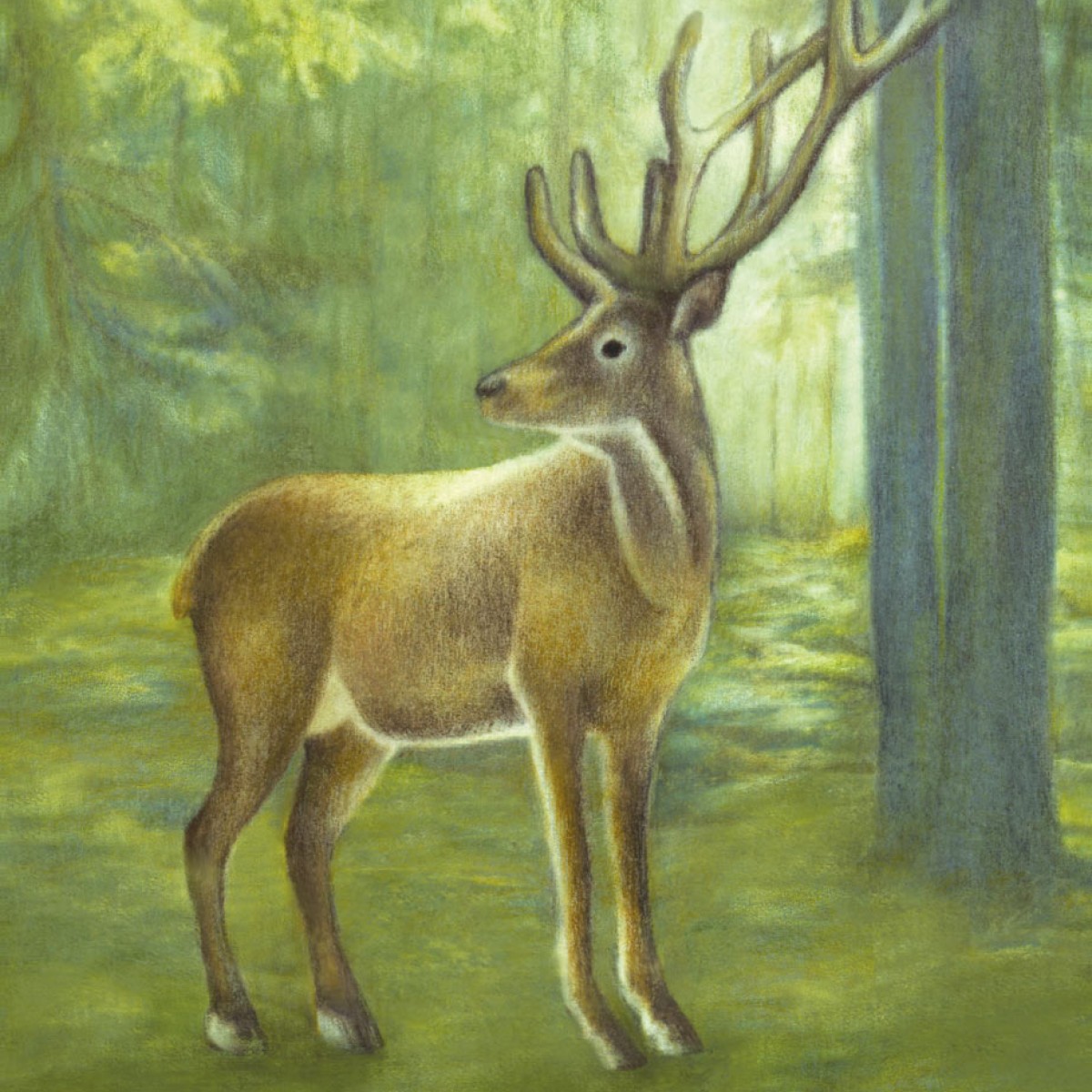 Tapet lavabil Bisou de MMe Pitou 365112, 280x186cm, Eijffinger