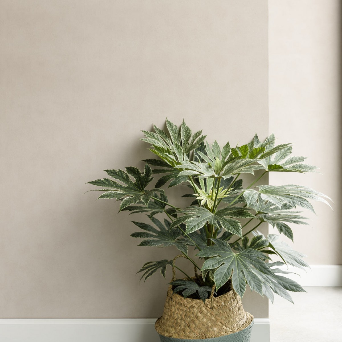 Tapet lavabil Blend 36305, 5.2mp / rolă, Eijffinger
