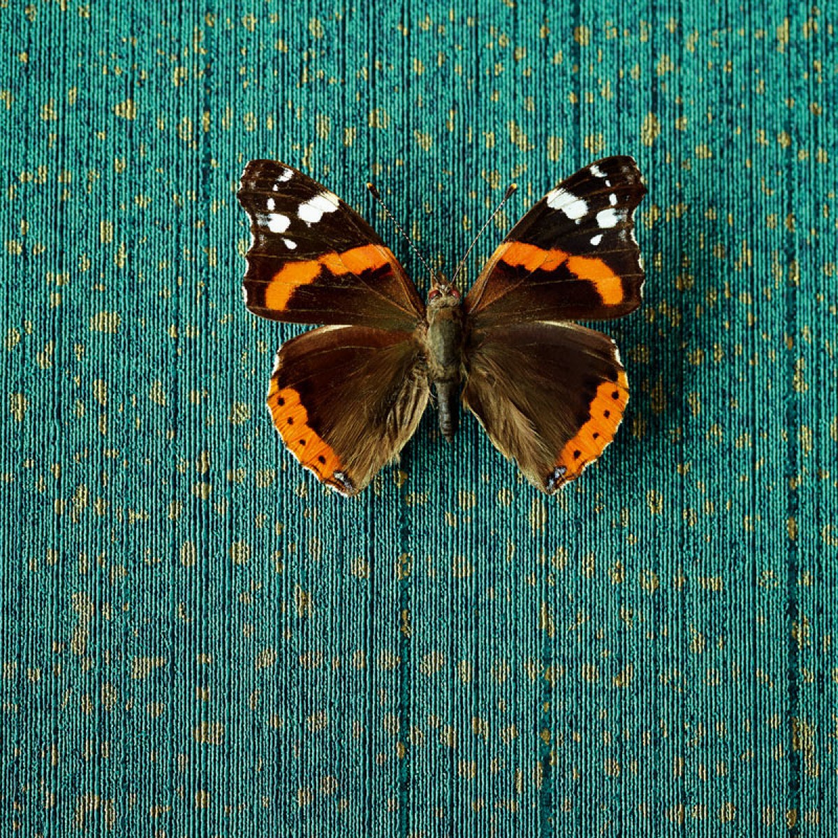 Tapet lavabil Masterpiece 35806, 5.2mp / rolă, Eijffinger