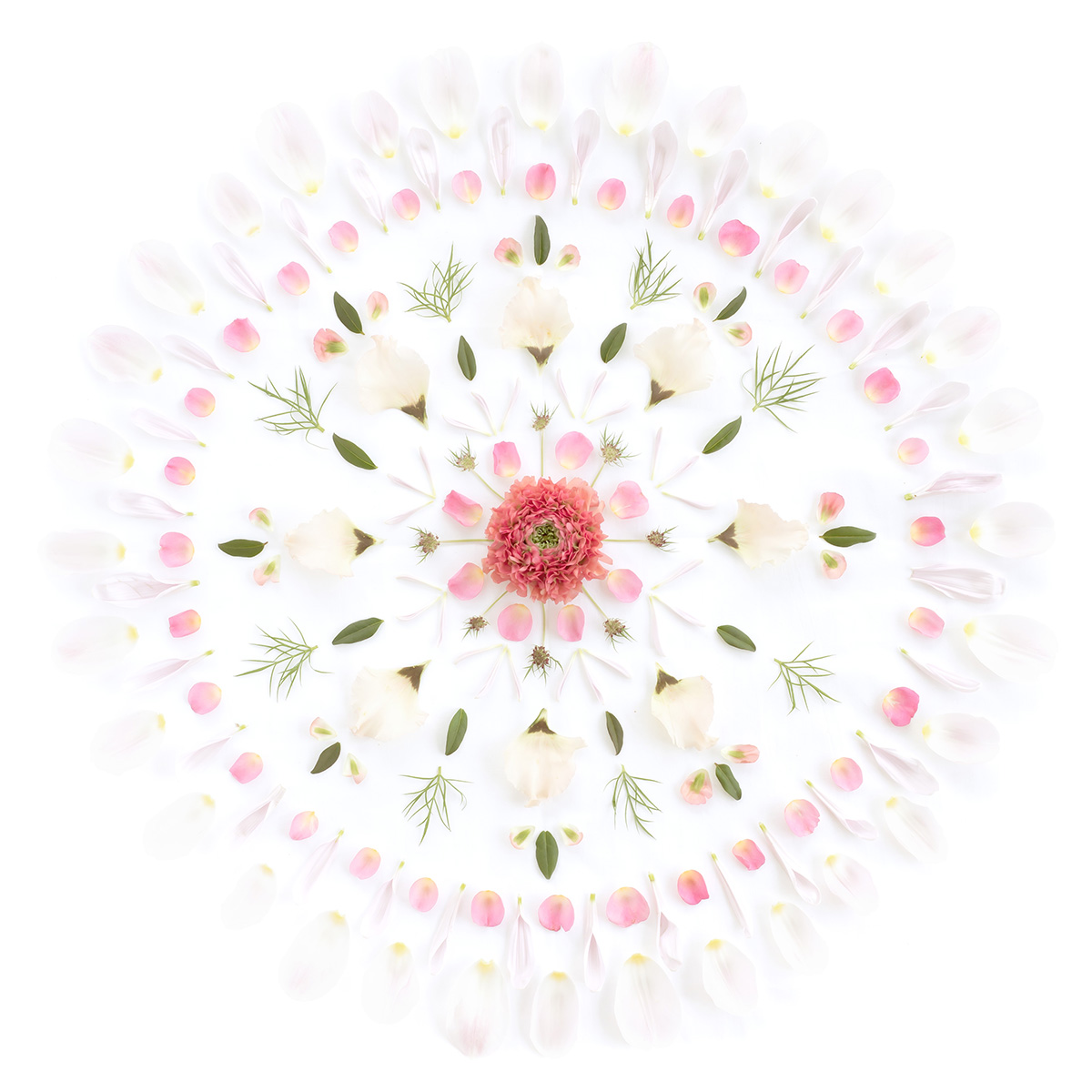 Tapet lavabil Flower Mandala 629-02, Sandberg, 0.81mp / rola