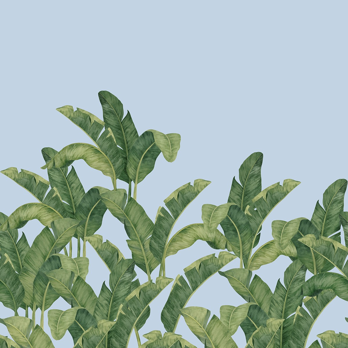 Panel tapet Les Vangardes BA02, TresTintas, 204 x 300cm