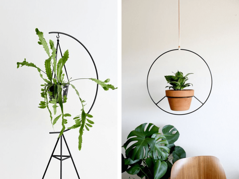 Suport plante camera