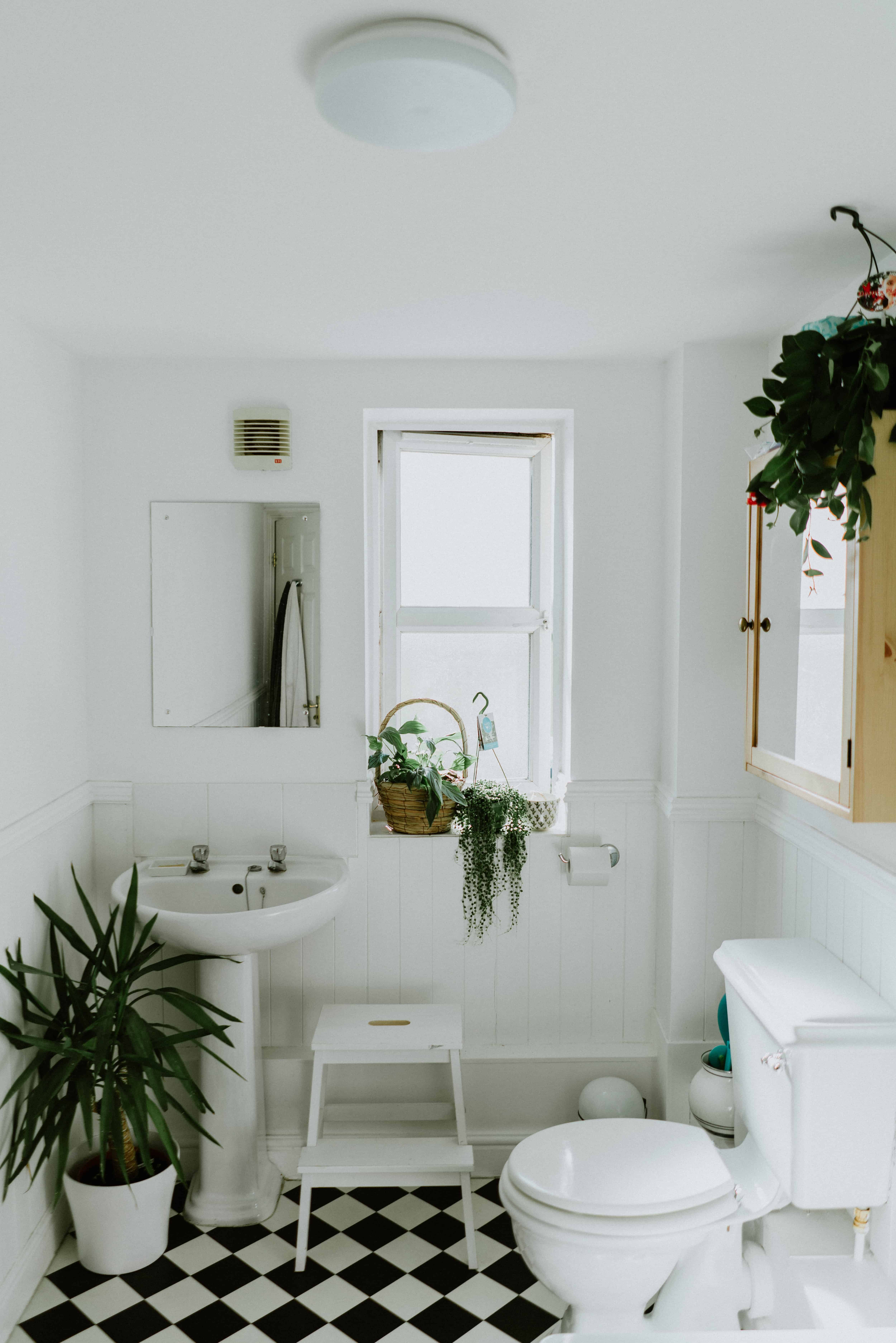 O baie mica de apartament, decorata in stil scandinav, cu mobiler si instalatii sanitare albe, gresie alb si negru, plante, o fereastra si doua oglinzi montate pe pereti diferiti