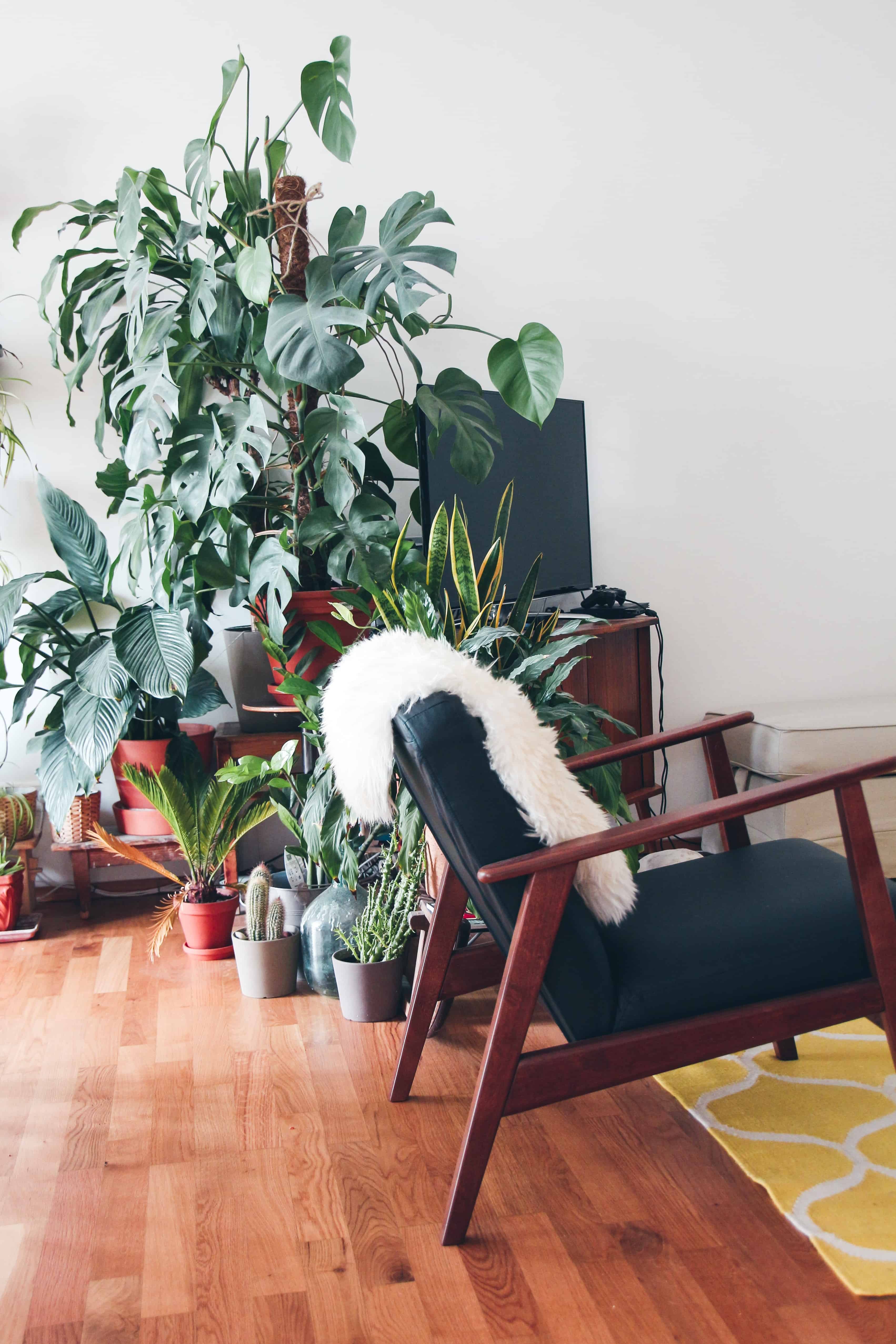 podele in stil scandinav, in lemn masiv, maro inchis, intr-un living decorat cu multe flori