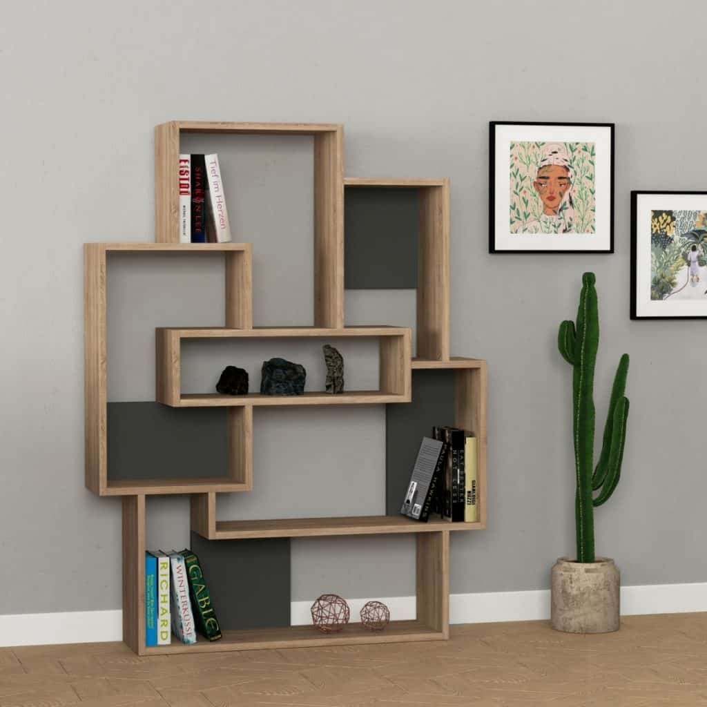 Biblioteca cu carti si obiecte decorative in fata unui perete gri cu doua tablouri, langa care se afla o floare