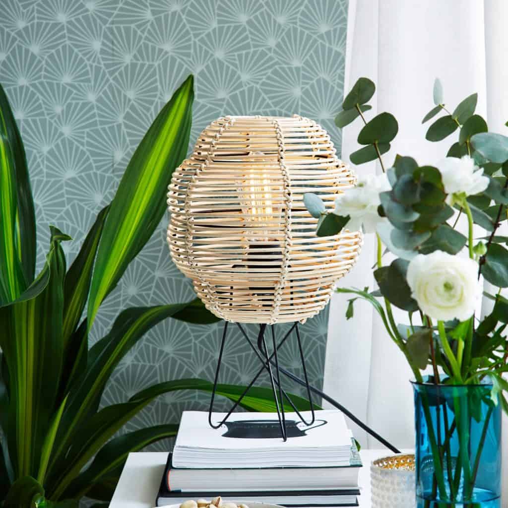 Lampa de birou din ratan asezata pe carti, langa un vas cu trandafiri si o planta decorativa