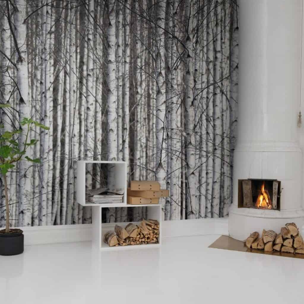 Fototapet trunchiuri de mesteacan, intr-o incapere cu semineu alb cu focul aprins, lemne taiete, rafturi cu lemne si planta decorativa