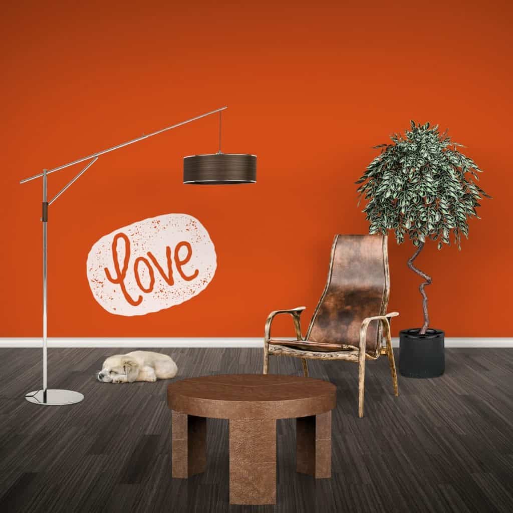 Perete cu vopsea lavabila Festive Orange intr-un livind cu fotoliu, masa de cafea, planta decorativa si lampa si un caine dormind pe parchet