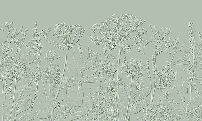 Fototapet Timbro Florale, Verde, personalizat, Accent Wall