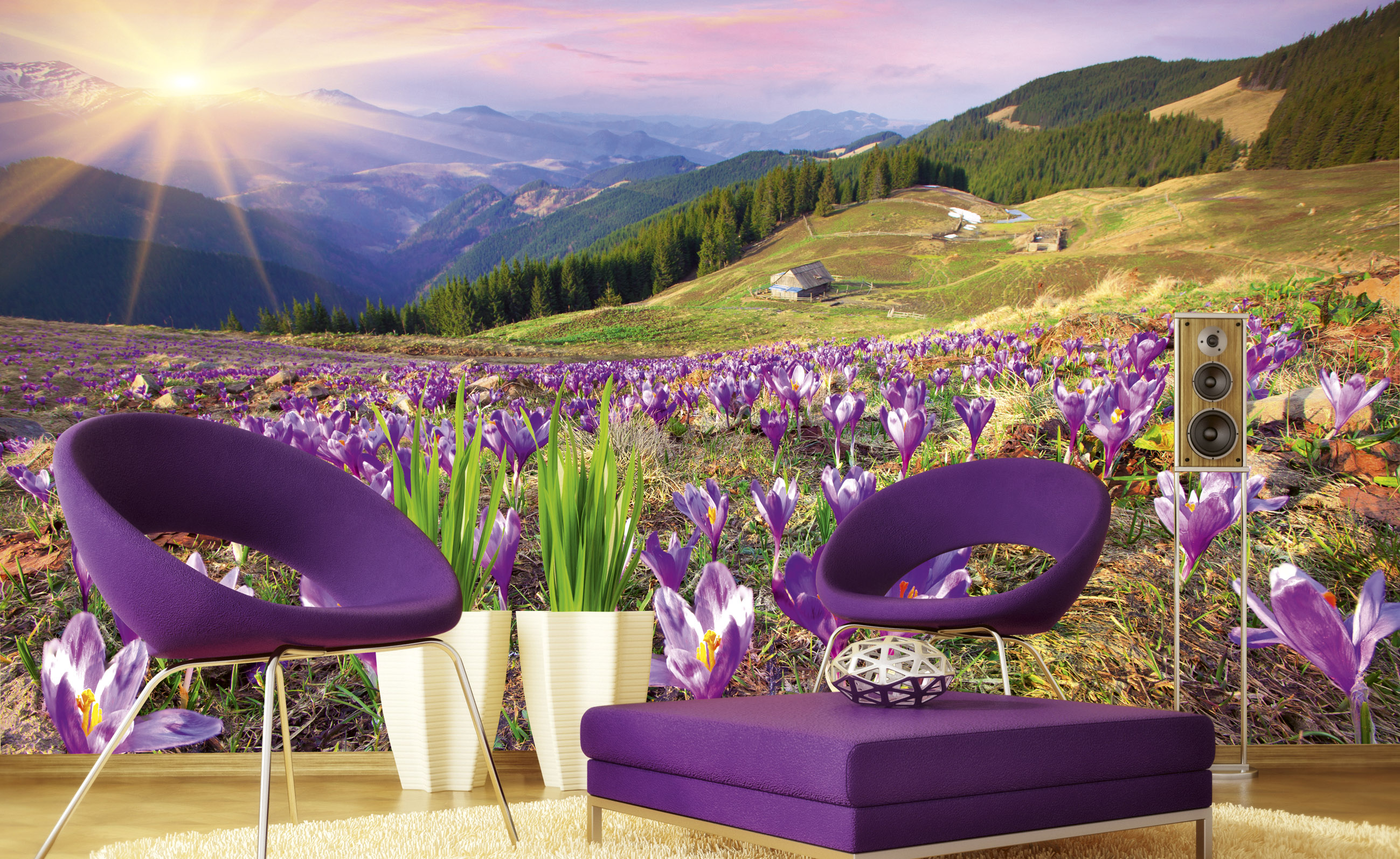 Foto tapet 3D Crocuses At Spring, Dimex, 5 fâșii, 375 x 250cm