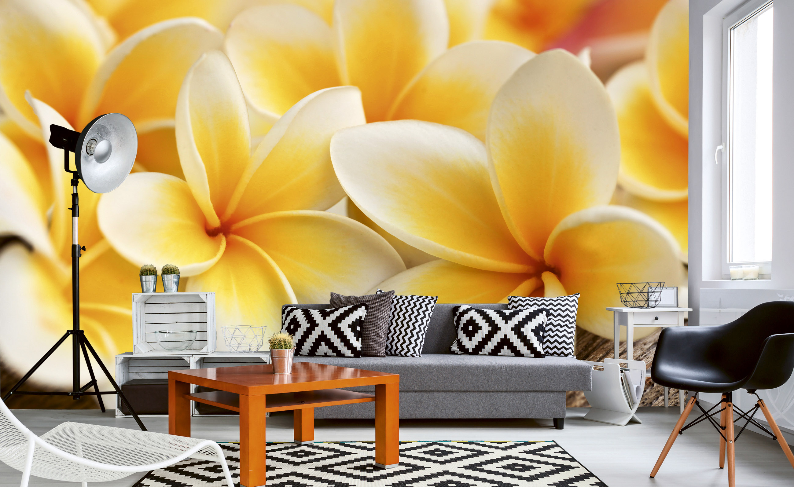 Foto tapet 3d plumeria, dimex, 5 fâșii, 375 x 250cm 