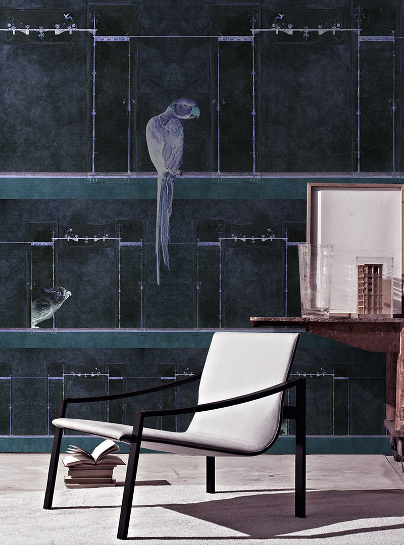 Fototapet contemporan Curious Parrots, personalizat, idea murale 