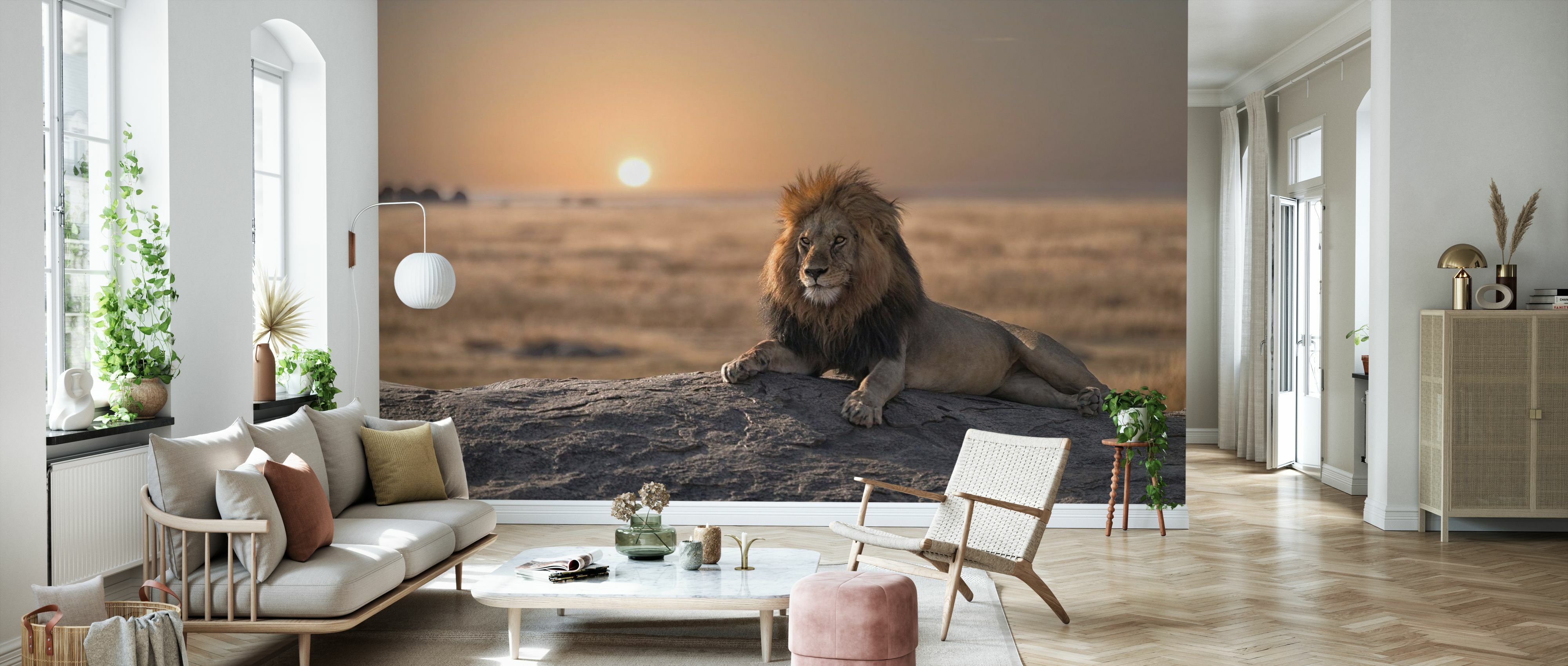 Fototapet lion sitting on the rock, personalizat, photowall 