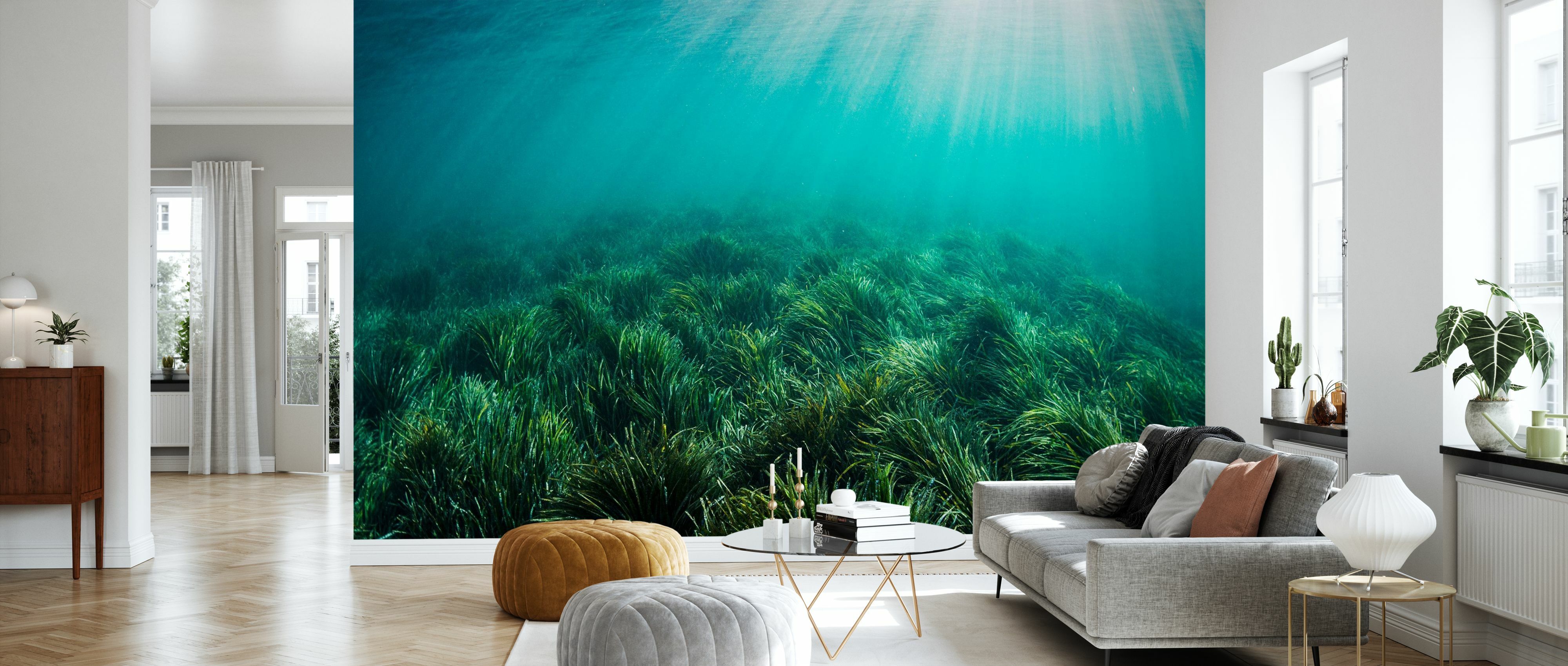 Tapet neptune seagrass bed, photowall 