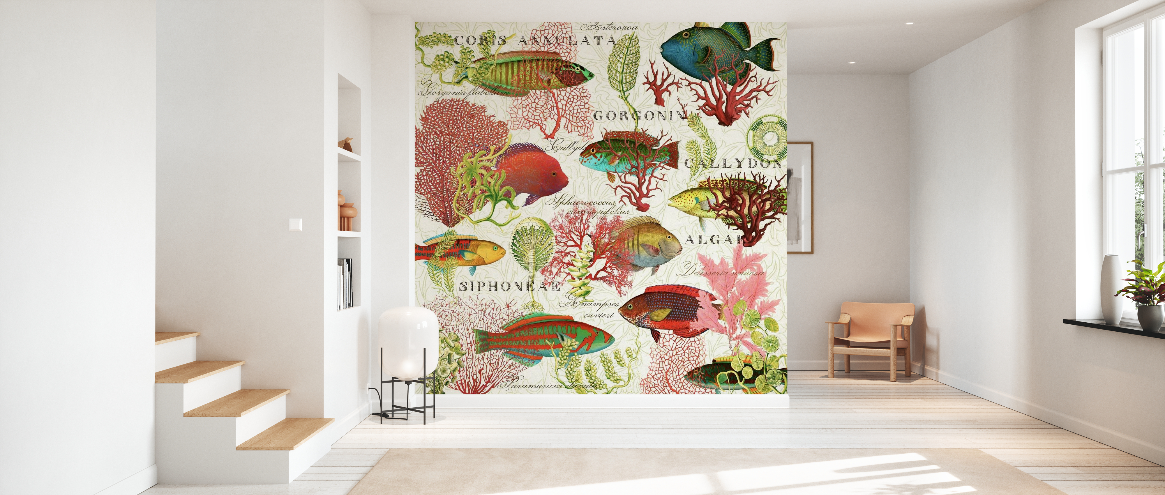 Tapet Red Coral and Fish, Photowall