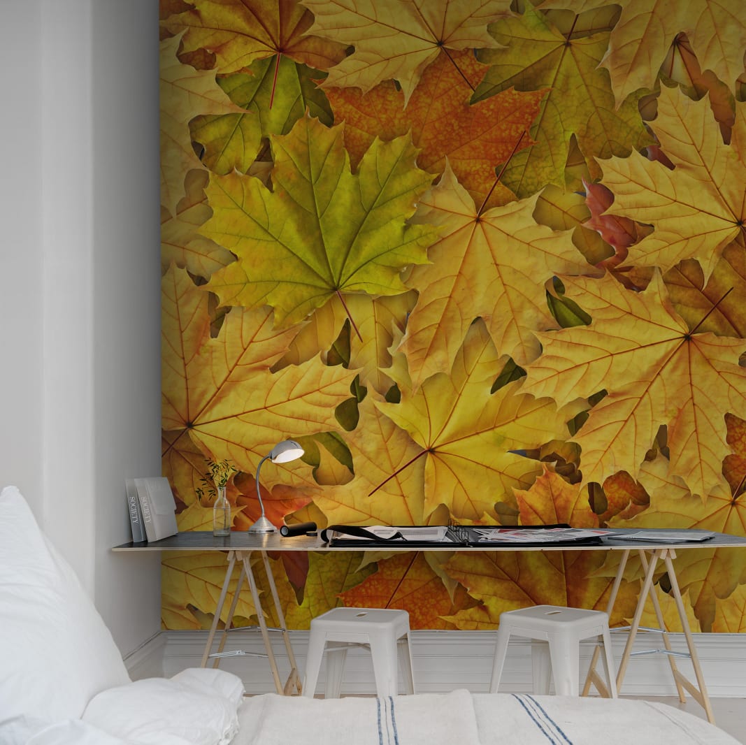 Fototapet Autumn Leaves, personalizat, Rebel Walls  image