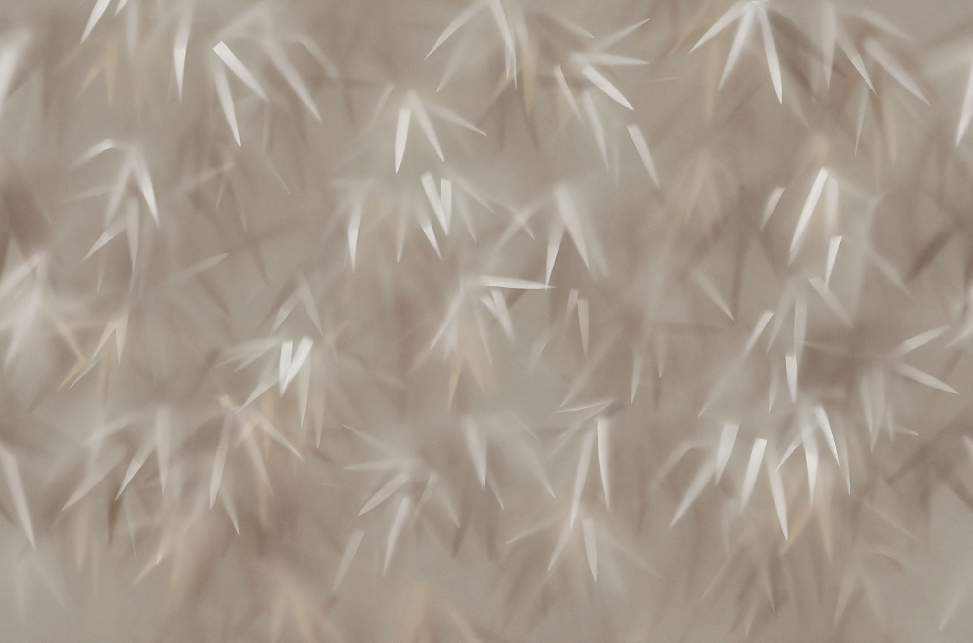 Tapet haze, sand, tecnografica 
