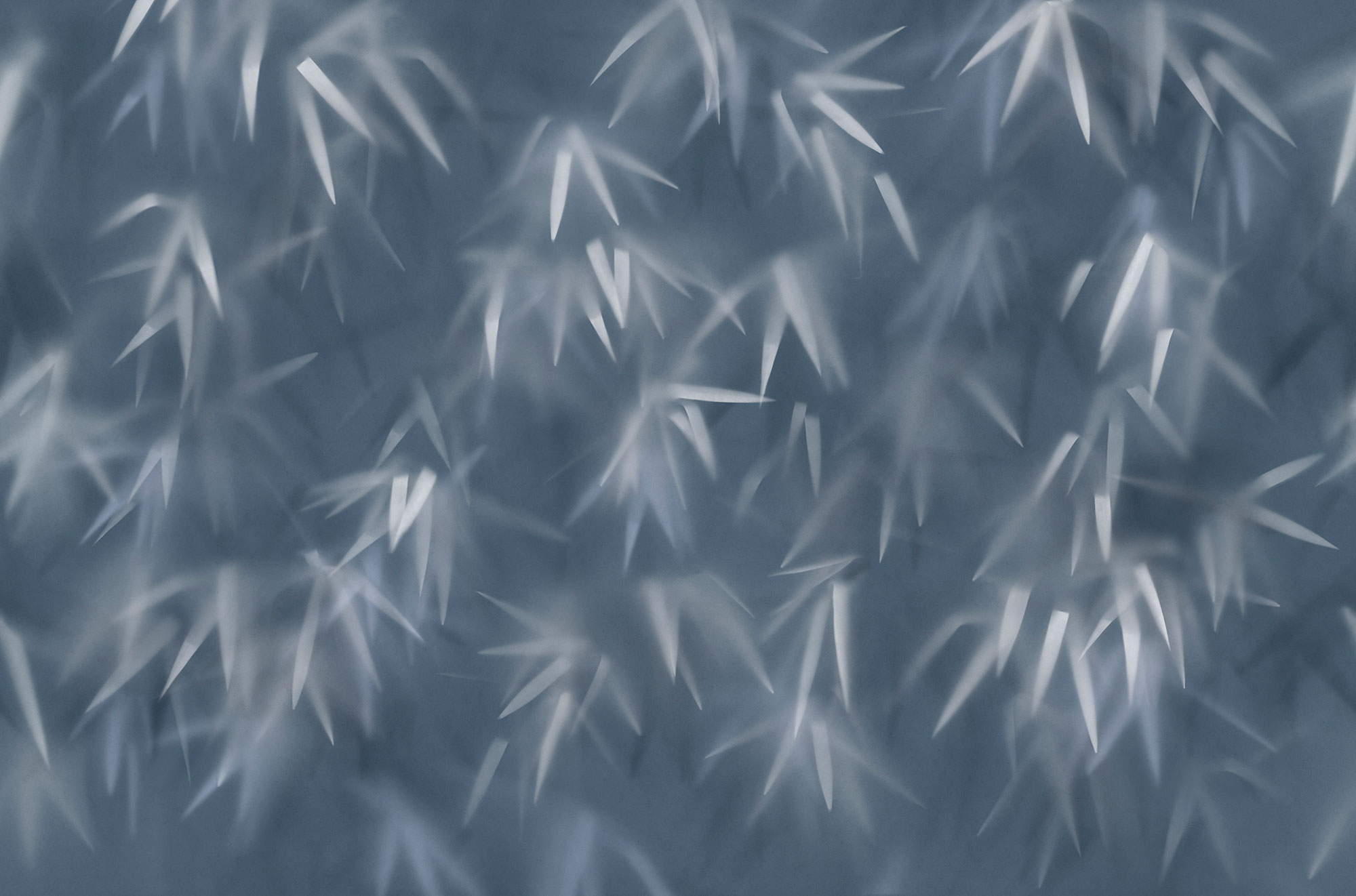 Tapet haze, blue, tecnografica 