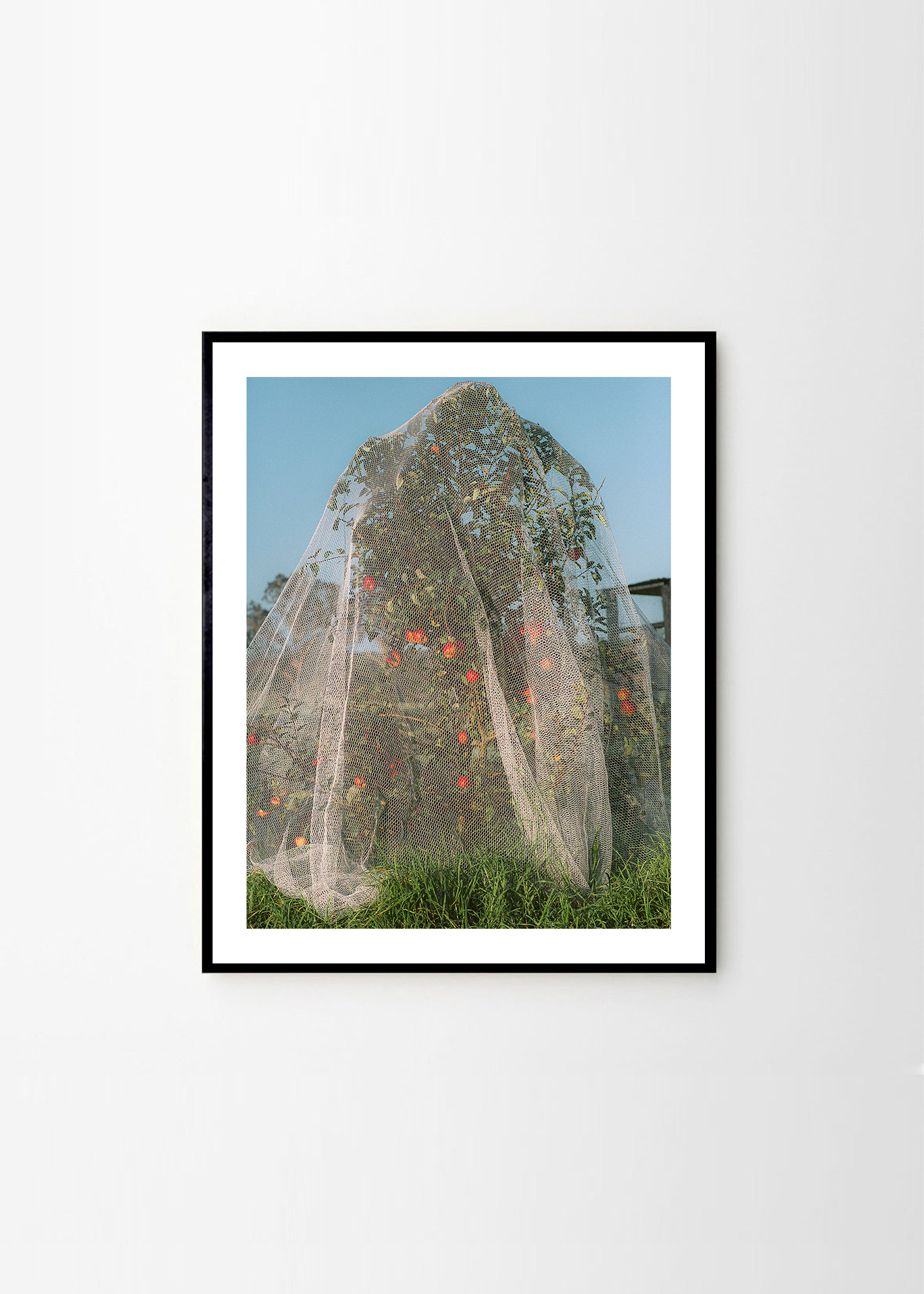 Poster/Tablou Apple Tree, Lee Burnett