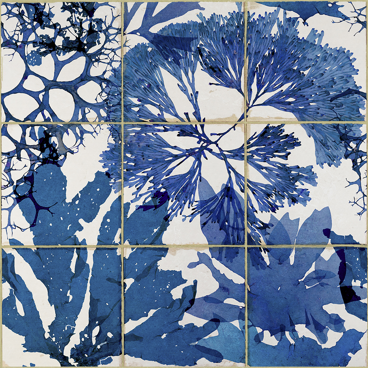 Tapet designer ALGAE IN BLUE, MINDTHEGAP MINDTHEGAP