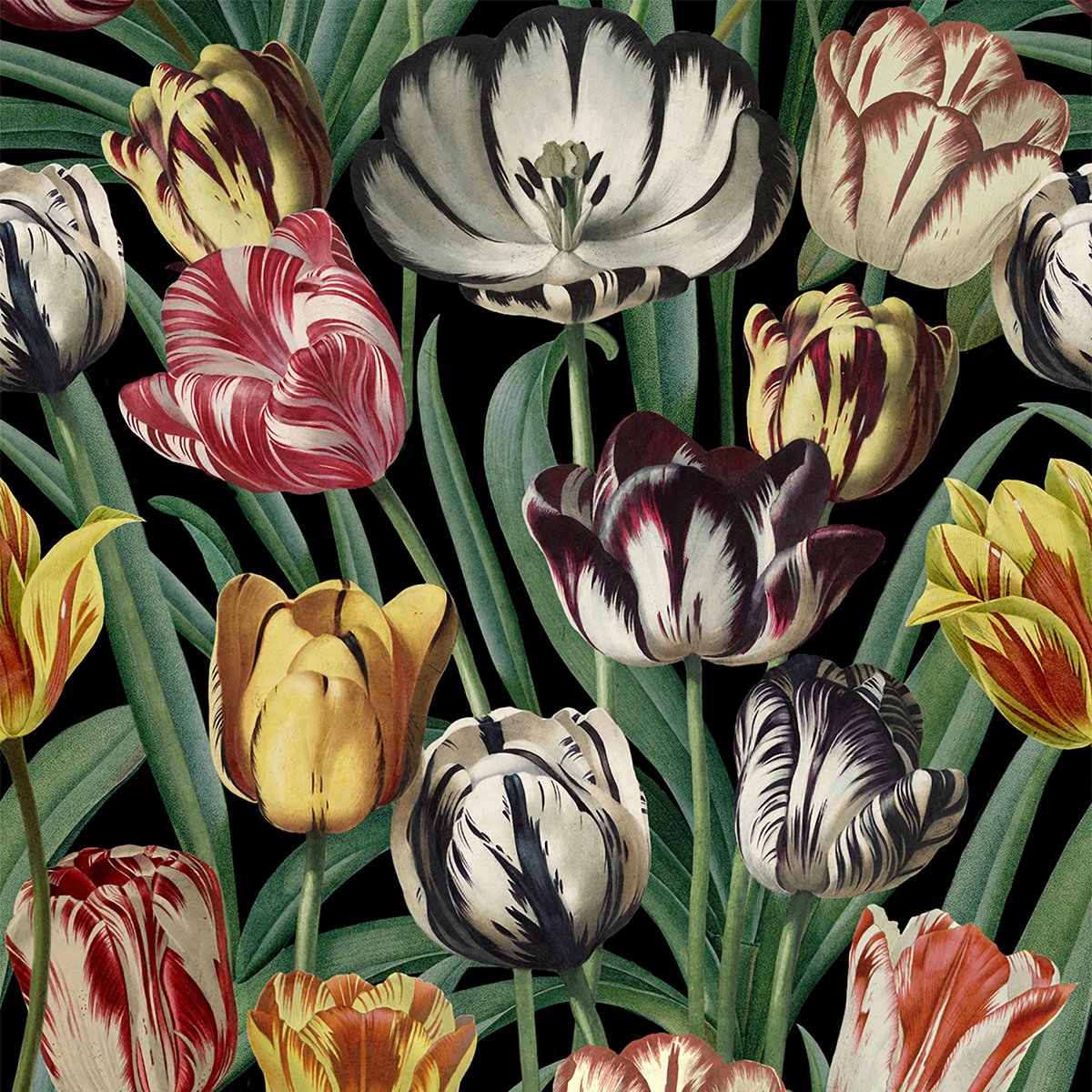 Tapet designer TULIPA, MINDTHEGAP MINDTHEGAP